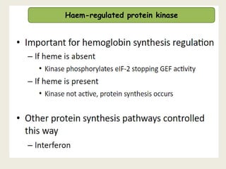 Haem-regulated protein kinase
 