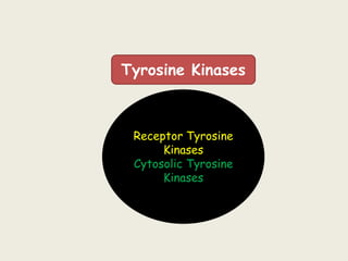 Tyrosine Kinases
Receptor Tyrosine
Kinases
Cytosolic Tyrosine
Kinases
 