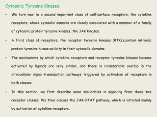 Cytosolic Tyrosine Kinases
• We turn now to a second important class of cell-surface receptors, the cytokine
receptors, whose cytosolic domains are closely associated with a member of a family
of cytosolic protein tyrosine kinases, the JAK kinases.
• A third class of receptors, the receptor tyrosine kinases (RTKs),contain intrinsic
protein tyrosine kinase activity in their cytosolic domains.
• The mechanisms by which cytokine receptors and receptor tyrosine kinases become
activated by ligands are very similar, and there is considerable overlap in the
intracellular signal-transduction pathways triggered by activation of receptors in
both classes.
• In this section, we first describe some similarities in signaling from these two
receptor classes. We then discuss the JAK-STAT pathway, which is initiated mainly
by activation of cytokine receptors.
 