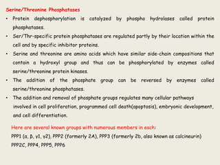 Serine/Threonine Phosphatases
• Protein dephosphorylation is catalyzed by phospho hydrolases called protein
phosphatases.
• Ser/Thr-specific protein phosphatases are regulated partly by their location within the
cell and by specific inhibitor proteins.
• Serine and threonine are amino acids which have similar side-chain compositions that
contain a hydroxyl group and thus can be phosphorylated by enzymes called
serine/threonine protein kinases.
• The addition of the phosphate group can be reversed by enzymes called
serine/threonine phosphatases.
• The addition and removal of phosphate groups regulates many cellular pathways
involved in cell proliferation, programmed cell death(apoptosis), embryonic development,
and cell differentiation.
Here are several known groups with numerous members in each:
PPP1 (α, β, γ1, γ2), PPP2 (formerly 2A), PPP3 (formerly 2b, also known as calcineurin)
PPP2C, PPP4, PPP5, PPP6
 