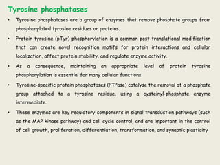 Tyrosine phosphatases
• Tyrosine phosphatases are a group of enzymes that remove phosphate groups from
phosphorylated tyrosine residues on proteins.
• Protein tyrosine (pTyr) phosphorylation is a common post-translational modification
that can create novel recognition motifs for protein interactions and cellular
localization, affect protein stability, and regulate enzyme activity.
• As a consequence, maintaining an appropriate level of protein tyrosine
phosphorylation is essential for many cellular functions.
• Tyrosine-specific protein phosphatases (PTPase) catalyse the removal of a phosphate
group attached to a tyrosine residue, using a cysteinyl-phosphate enzyme
intermediate.
• These enzymes are key regulatory components in signal transduction pathways (such
as the MAP kinase pathway) and cell cycle control, and are important in the control
of cell growth, proliferation, differentiation, transformation, and synaptic plasticity
 