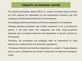Ubiquitin-proteasome system
• The ubiquitin–proteasome system (UPS) is a complex mechanism where proteins
are first targeted for degradation by the ubiquitination machinery and then
recognized, unfolded and proteolyzed by the proteasome.
• In autophagy-mediated proteolysis, proteins are degraded by the lysosome.
• Although lysosomal proteolysis was initially considered to be a non-selective
system, it has been shown that chaperones and other cargo-recognition
molecules such as ubiquitin determine the degradation of specific proteins by
the lysosome.
• Therefore, the proteasome and autophagy might be interrelated by using
ubiquitin as a common marker for proteolytic degradation.
• Proteasome inhibition has therefore implications in a number of human diseases
such as cancer, inflammation and ischemic stroke and is an important therapeutic
target.
 