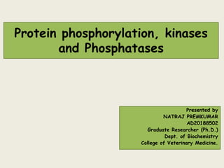 Protein phosphorylation, kinases
and Phosphatases
Presented by
NATRAJ PREMKUMAR
AD20188502
Graduate Researcher (Ph.D.)
Dept. of Biochemistry
College of Veterinary Medicine.
 