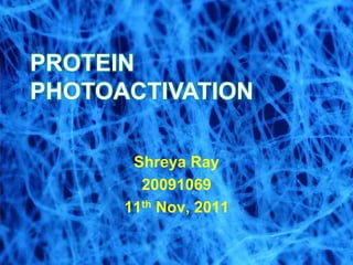 Shreya Ray
20091069
11th Nov, 2011
PROTEIN
PHOTOACTIVATION
 