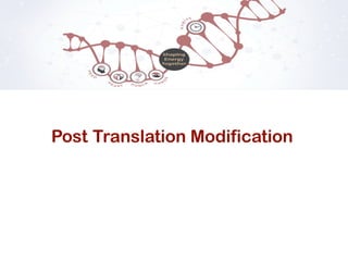 Comprehensive Overview of Post-Translational Modifications in Proteins ...