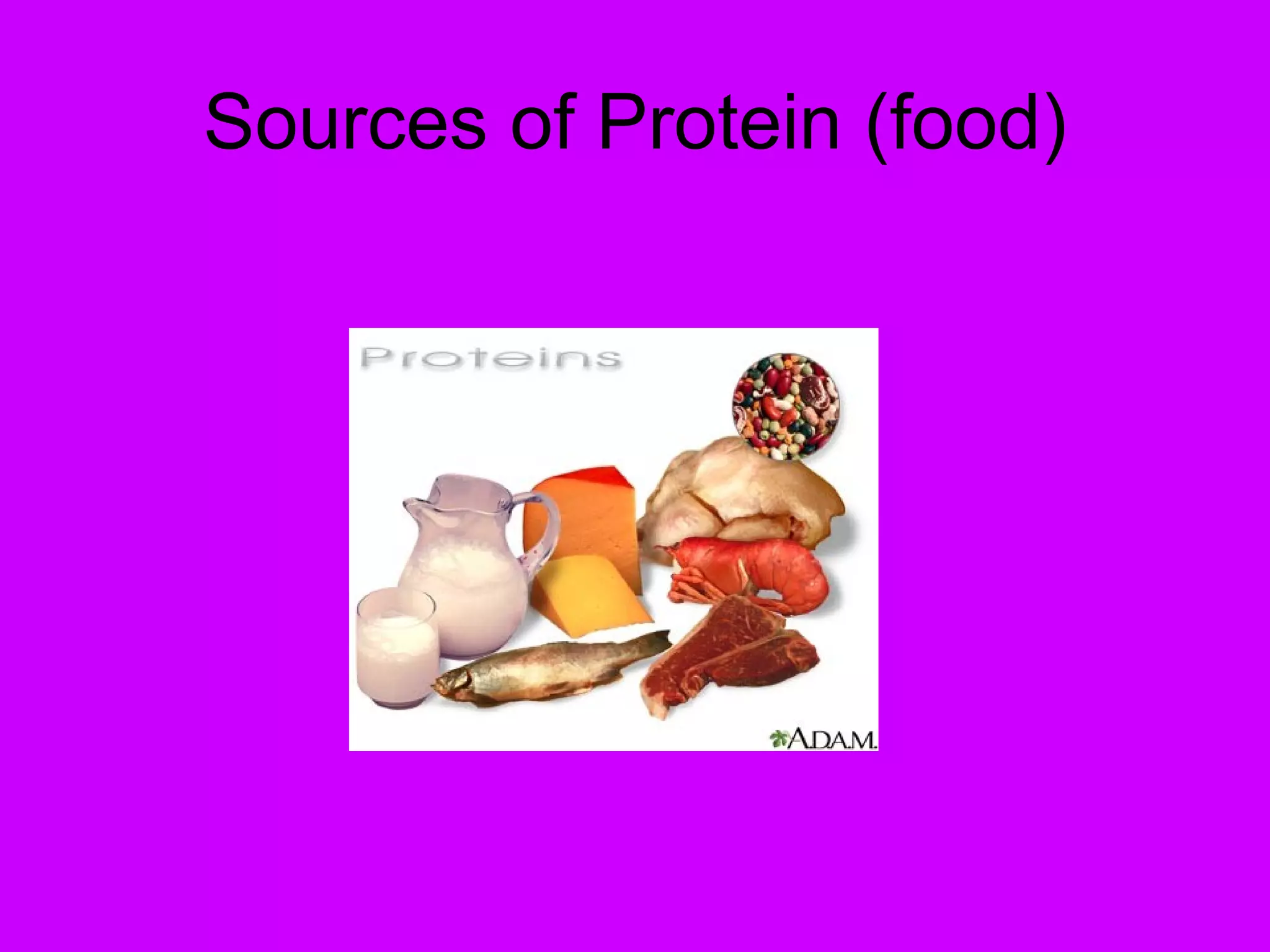 Sources of Protein (food) 
