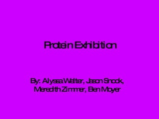 Protein Exhibition By: Alyssa Walter, Jason Snook, Meredith Zimmer, Ben Moyer 