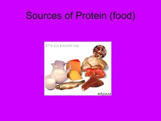 Sources of Protein (food) 