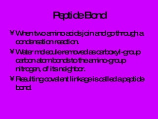 Peptide Bond When two amino acids join and go through a condensation reaction. Water molecule removed as carboxyl-group carbon atom bonds to the amino-group nitrogen, of its neighbor. Resulting covalent linkage is called a peptide bond. 
