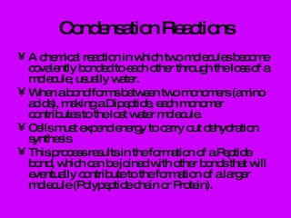 Condensation Reactions A chemical reaction in which two molecules become covalently bonded to each other through the loss of a molecule, usually water. When a bond forms between two monomers (amino acids), making a Dipeptide, each monomer contributes to the lost water molecule. Cells must expend energy to carry out dehydration synthesis. This process results in the formation of a Peptide bond, which can be joined with other bonds that will eventually contribute to the formation of a larger molecule (Polypeptide chain or Protein).  