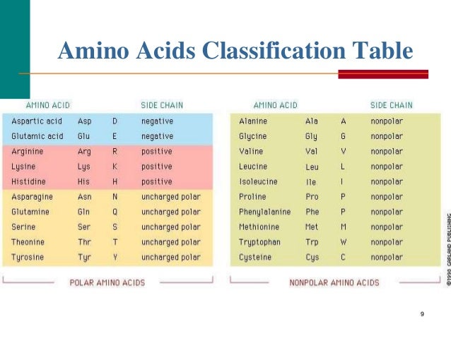 Amino Acid Polarity Chart