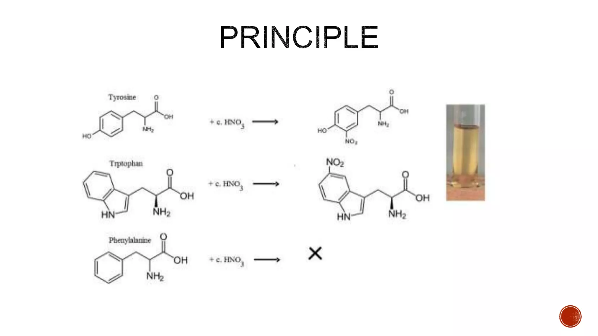 Test for Protein practical | PPTX