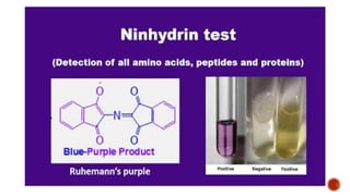 Ninhydrin Test Test for Protein practical | PPTX
