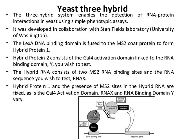 Protein Protein Interaction