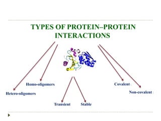 TYPES OF PROTEIN–PROTEIN
INTERACTIONS
Homo-oligomers
Hetero-oligomers Non-covalent :
Covalent :
Transient Stable
 