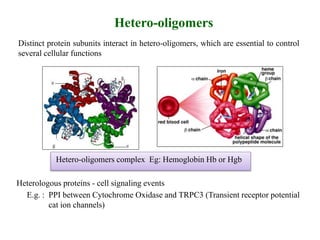 Distinct protein subunits interact in hetero-oligomers, which are essential to control
several cellular functions
Hetero-oligomers
Heterologous proteins - cell signaling events
E.g. : PPI between Cytochrome Oxidase and TRPC3 (Transient receptor potential
cat ion channels)
Hetero-oligomers complex Eg: Hemoglobin Hb or Hgb
 