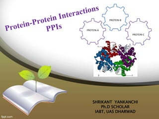 PROTEIN-B
PROTEIN-C
PROTEIN-A
SHRIKANT YANKANCHI
Ph.D SCHOLAR
IABT, UAS DHARWAD
 