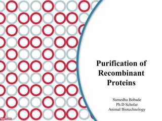 Purification of
Recombinant
Proteins
Sumedha Bobade
Ph.D Scholar
Animal Biotechnology
 