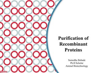 how can i apply glutathione on face Protein expression and purification slides.pdf main image 0