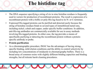 snow white glutathione capsule Beyond Purification: Evolving Roles of Fusion Tags in Biotechnology