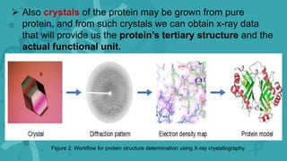  Also crystals of the protein may be grown from pure
protein, and from such crystals we can obtain x-ray data
that will provide us the protein’s tertiary structure and the
actual functional unit.
Figure 2. Workflow for protein structure determination using X-ray crystallography.
 