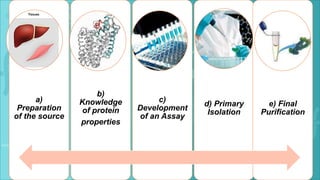 a)
Preparation
of the source
b)
Knowledge
of protein
properties
c)
Development
of an Assay
d) Primary
Isolation
e) Final
Purification
 