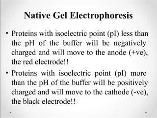 Anode Buffer Protein purification-and-characterization-techniques (1).pptx