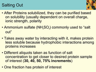 Salting Out
• After Proteins solubilized, they can be purified based
   on solubility (usually dependent on overall charge,
   ionic strength, polarity
• Ammonium sulfate (NH4SO4) commonly used to “salt
   out”
• Takes away water by interacting with it, makes protein
   less soluble because hydrophobic interactions among
   proteins increases
• Different aliquots taken as function of salt
  concentration to get closer to desired protein sample
  of interest (30, 40, 50, 75% increments)
• One fraction has protein of interest
 