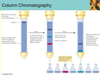 Column Chromatography
 