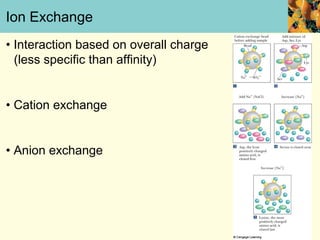 Ion Exchange
• Interaction based on overall charge
  (less specific than affinity)


• Cation exchange


• Anion exchange
 