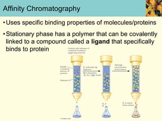 Affinity Chromatography
• Uses specific binding properties of molecules/proteins
• Stationary phase has a polymer that can be covalently
  linked to a compound called a ligand that specifically
  binds to protein
 