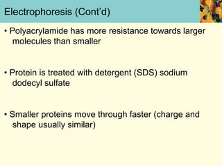 Electrophoresis (Cont’d)
• Polyacrylamide has more resistance towards larger
   molecules than smaller


• Protein is treated with detergent (SDS) sodium
   dodecyl sulfate


• Smaller proteins move through faster (charge and
   shape usually similar)
 