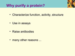 Why purify a protein?

 • Characterize function, activity, structure

 • Use in assays

 • Raise antibodies

 • many other reasons ...
 