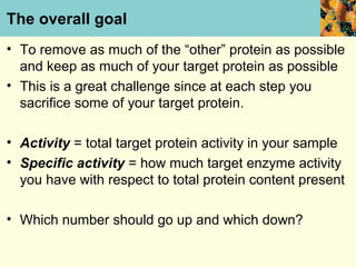 The overall goal
• To remove as much of the “other” protein as possible
  and keep as much of your target protein as possible
• This is a great challenge since at each step you
  sacrifice some of your target protein.

• Activity = total target protein activity in your sample
• Specific activity = how much target enzyme activity
  you have with respect to total protein content present

• Which number should go up and which down?
 
