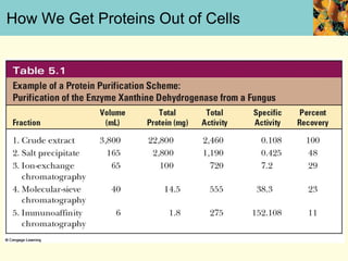 How We Get Proteins Out of Cells
 