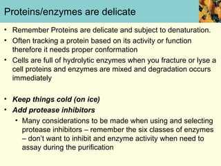 Proteins/enzymes are delicate
• Remember Proteins are delicate and subject to denaturation.
• Often tracking a protein based on its activity or function
  therefore it needs proper conformation
• Cells are full of hydrolytic enzymes when you fracture or lyse a
  cell proteins and enzymes are mixed and degradation occurs
  immediately

• Keep things cold (on ice)
• Add protease inhibitors
   • Many considerations to be made when using and selecting
     protease inhibitors – remember the six classes of enzymes
     – don’t want to inhibit and enzyme activity when need to
     assay during the purification
 