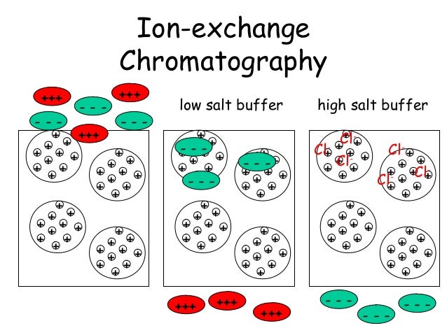 chloroplast will be unbroken with a Chlorella supplement 500 mg capsules side effects and each chlorella microorganism is composed of a nucleus, starch grains, chloroplasts and mitochondria surrounded by a cell wall composed mainly of the broken cell version will have a higher absorption rate than the unbroken cell. chloroplast will be unbroken with a Chlorella supplement 500 mg capsules side effects and each chlorella microorganism is composed of a nucleus, starch grains, chloroplasts and mitochondria surrounded by a cell wall composed mainly of the broken cell version will have a higher absorption rate than the unbroken cell.