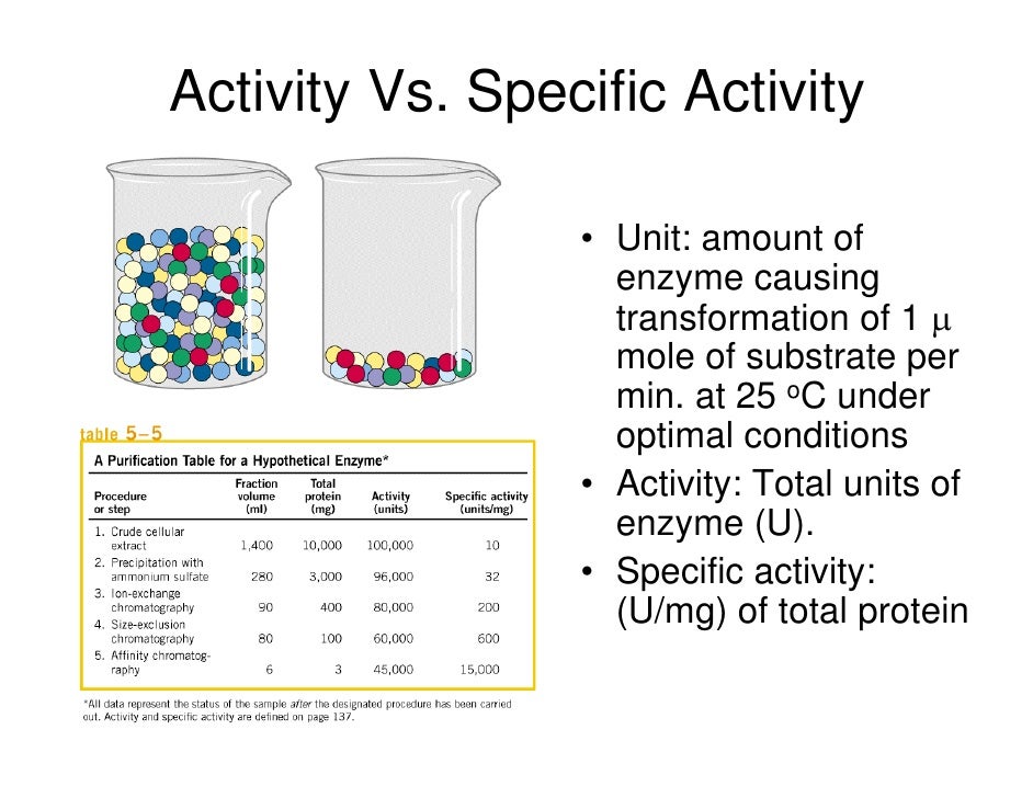 Protein Purification Hjp