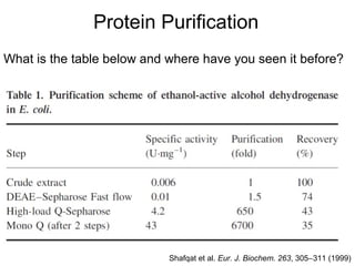 Protein Purification 
What is the table below and where have you seen it before? 
Shafqat et al. Eur. J. Biochem. 263, 305-311 (1999) 
 
