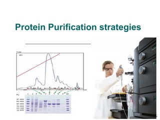 Protein Purification strategies
 