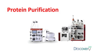Protein Purification
 