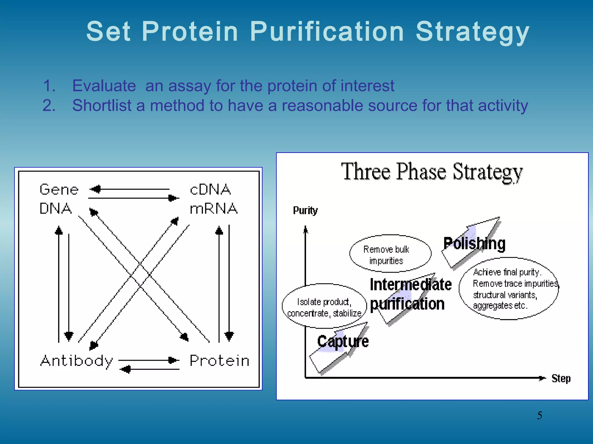 Protein Purification PPT