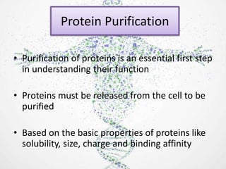 Protein Purification
• Purification of proteins is an essential first step
in understanding their function
• Proteins must be released from the cell to be
purified
• Based on the basic properties of proteins like
solubility, size, charge and binding affinity
 