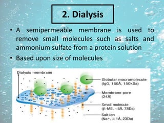 2. Dialysis
• A semipermeable membrane is used to
remove small molecules such as salts and
ammonium sulfate from a protein solution
• Based upon size of molecules
 