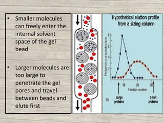 • Smaller molecules
can freely enter the
internal solvent
space of the gel
bead
• Larger molecules are
too large to
penetrate the gel
pores and travel
between beads and
elute first
 