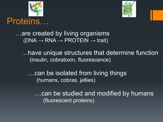 Proteins…
 …are created by living organisms
   (DNA → RNA → PROTEIN → trait)

   …have unique structures that determine function
     (insulin, cobratoxin, fluorescence)

     …can be isolated from living things
        (humans, cobras, jellies)

       …can be studied and modified by humans
          (fluorescent proteins)
 