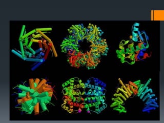 Protein Structure
 