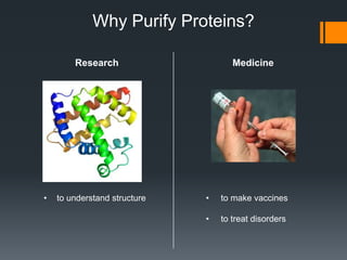 Why Purify Proteins?

        Research                     Medicine




•   to understand structure   •   to make vaccines

                              •   to treat disorders
 