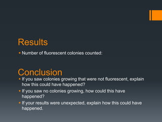 Results
 Number of fluorescent colonies counted:



Conclusion
 If you saw colonies growing that were not fluorescent, explain
  how this could have happened?
 If you saw no colonies growing, how could this have
  happened?
 If your results were unexpected, explain how this could have
  happened.
 