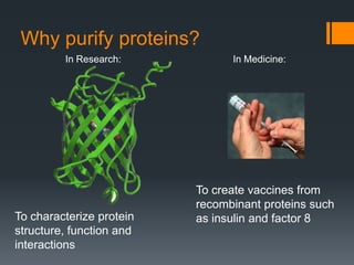 Why purify proteins?
         In Research:           In Medicine:




                          To create vaccines from
                          recombinant proteins such
To characterize protein   as insulin and factor 8
structure, function and
interactions
 